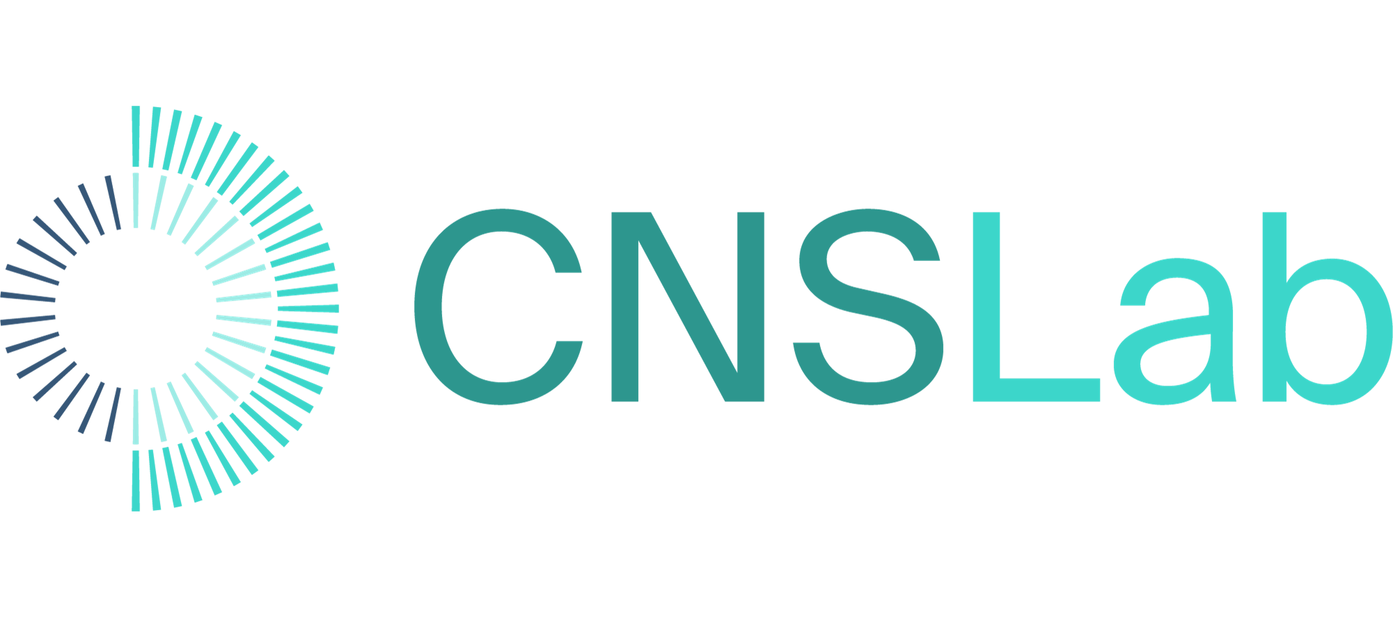 CNS-lab-logo