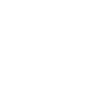 share price